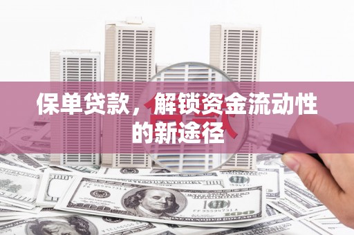 溆浦保单贷款，解锁资金流动性的新途径