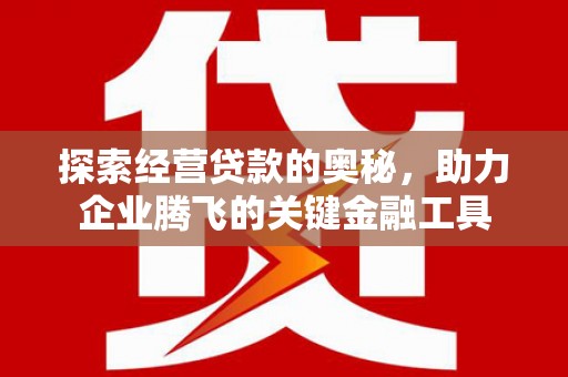 溆浦探索经营贷款的奥秘，助力企业腾飞的关键金融工具
