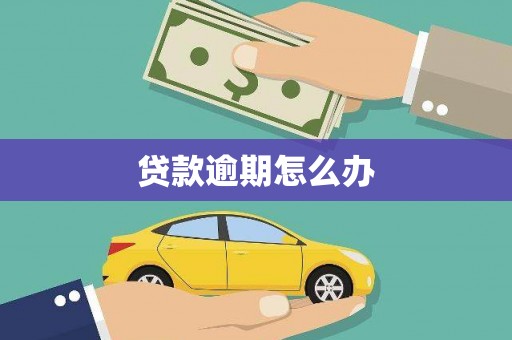 溆浦贷款逾期怎么办