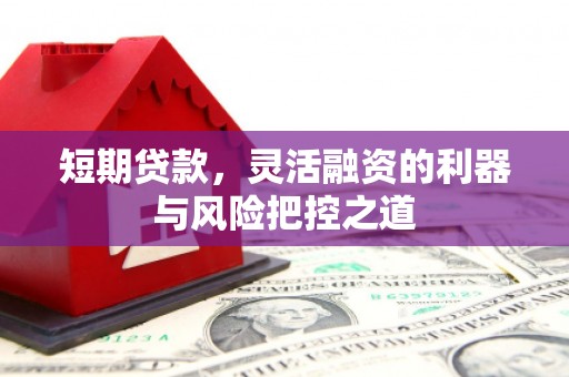 溆浦短期贷款，灵活融资的利器与风险把控之道