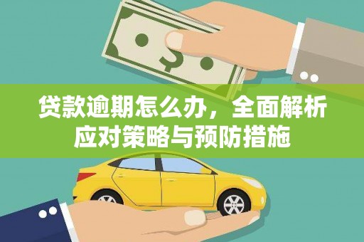 溆浦贷款逾期怎么办，全面解析应对策略与预防措施