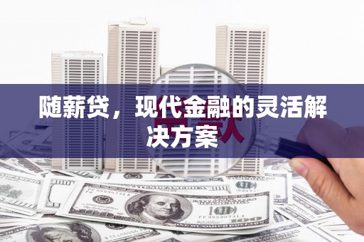 溆浦随薪贷，现代金融的灵活解决方案