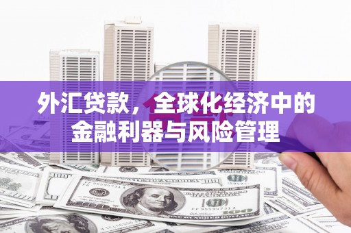 溆浦外汇贷款，全球化经济中的金融利器与风险管理