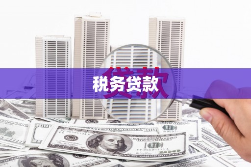溆浦税务贷款