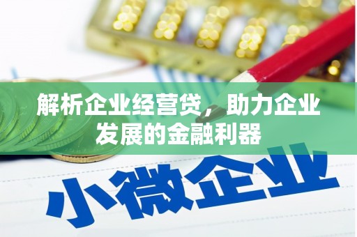 溆浦解析企业经营贷，助力企业发展的金融利器