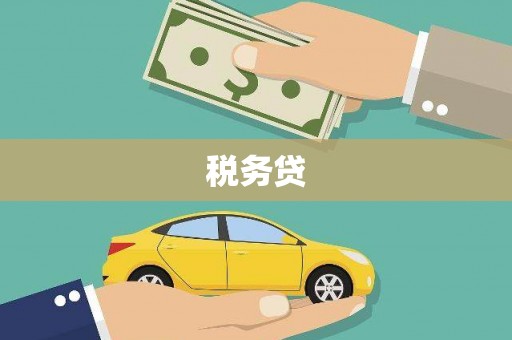 溆浦税务贷
