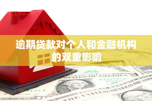 溆浦逾期贷款对个人和金融机构的双重影响
