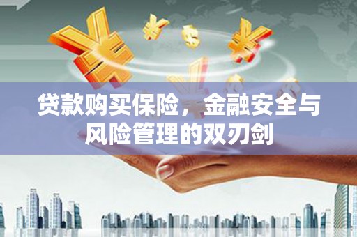 溆浦贷款购买保险，金融安全与风险管理的双刃剑