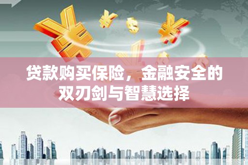 溆浦贷款购买保险，金融安全的双刃剑与智慧选择
