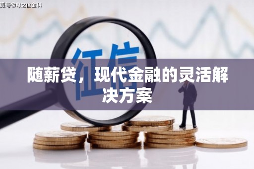 溆浦随薪贷，现代金融的灵活解决方案
