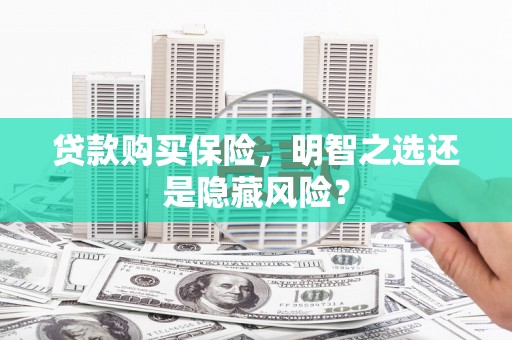 溆浦贷款购买保险，明智之选还是隐藏风险？