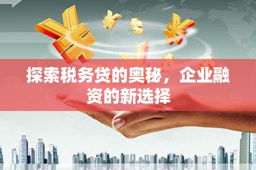 溆浦探索税务贷的奥秘，企业融资的新选择
