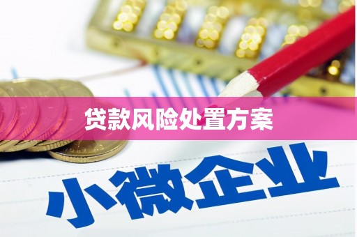 溆浦贷款风险处置方案