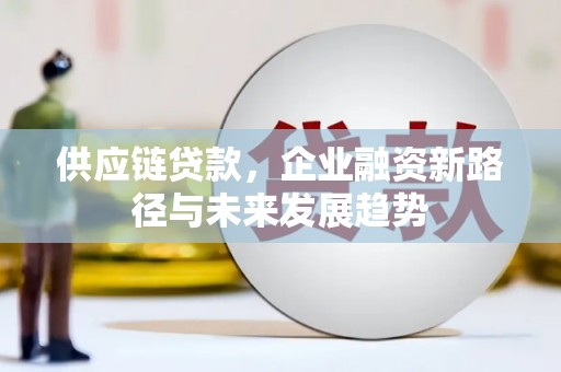 溆浦供应链贷款，企业融资新路径与未来发展趋势