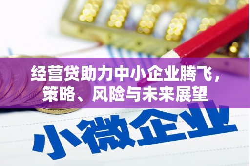 溆浦经营贷助力中小企业腾飞，策略、风险与未来展望