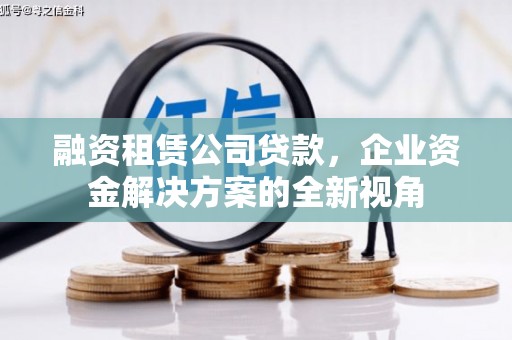 溆浦融资租赁公司贷款，企业资金解决方案的全新视角