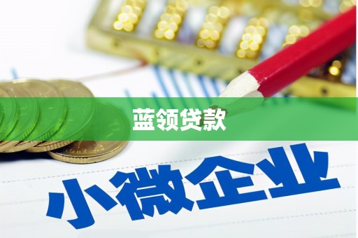 溆浦蓝领贷款