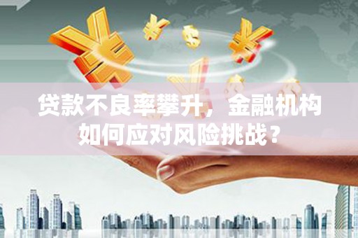 溆浦贷款不良率攀升，金融机构如何应对风险挑战？