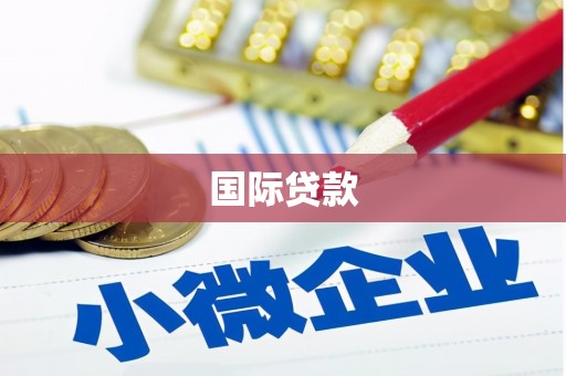 溆浦国际贷款