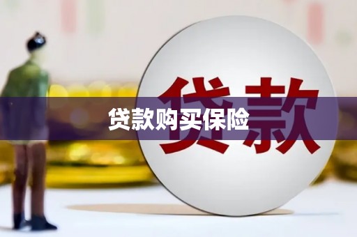 溆浦贷款购买保险