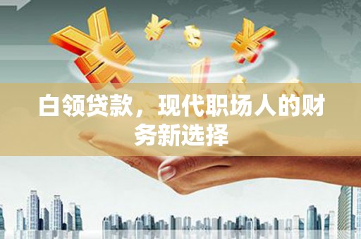 溆浦白领贷款，现代职场人的财务新选择