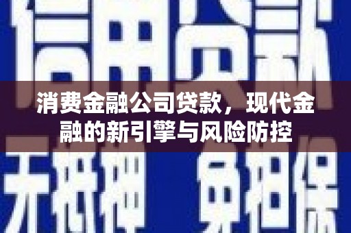 溆浦消费金融公司贷款，现代金融的新引擎与风险防控