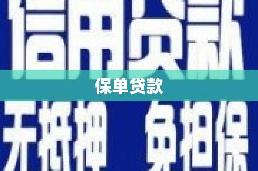 溆浦保单贷款