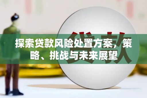 溆浦探索贷款风险处置方案，策略、挑战与未来展望