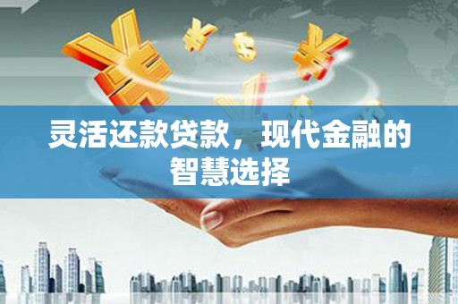 溆浦灵活还款贷款，现代金融的智慧选择