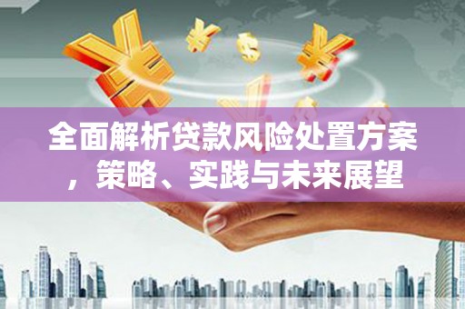 溆浦全面解析贷款风险处置方案，策略、实践与未来展望