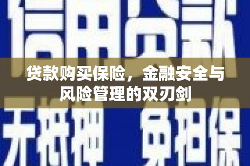 溆浦贷款购买保险，金融安全与风险管理的双刃剑