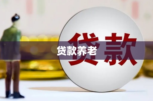 溆浦贷款养老