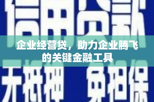 溆浦企业经营贷，助力企业腾飞的关键金融工具