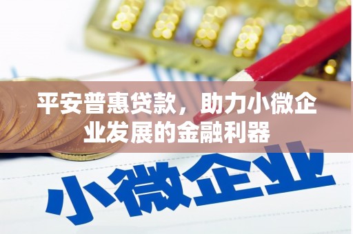 溆浦平安普惠贷款，助力小微企业发展的金融利器