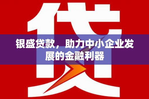 溆浦银盛贷款，助力中小企业发展的金融利器