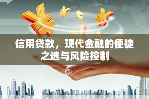 溆浦信用贷款，现代金融的便捷之选与风险控制