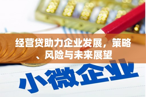 溆浦经营贷助力企业发展，策略、风险与未来展望