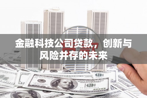 溆浦金融科技公司贷款，创新与风险并存的未来