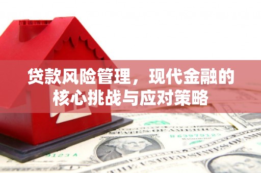 溆浦贷款风险管理，现代金融的核心挑战与应对策略
