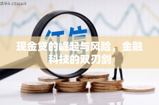 溆浦现金贷的崛起与风险，金融科技的双刃剑