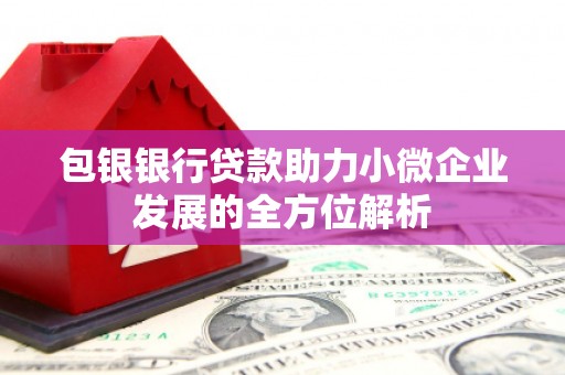 溆浦包银银行贷款助力小微企业发展的全方位解析