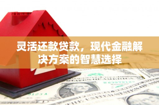 溆浦灵活还款贷款，现代金融解决方案的智慧选择