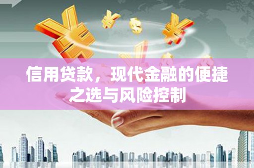 溆浦信用贷款，现代金融的便捷之选与风险控制