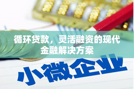 溆浦循环贷款，灵活融资的现代金融解决方案