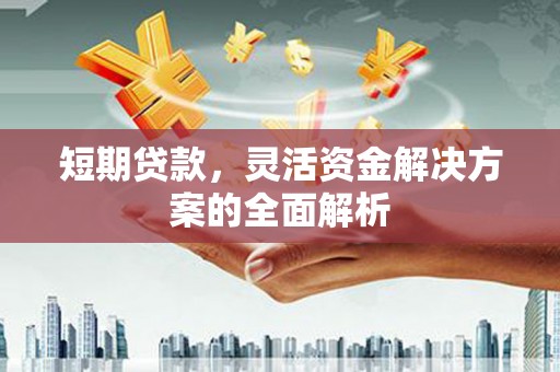 溆浦短期贷款，灵活资金解决方案的全面解析