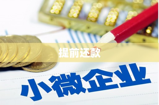 溆浦提前还款