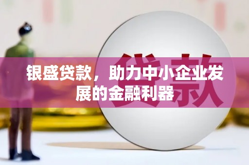 溆浦银盛贷款，助力中小企业发展的金融利器