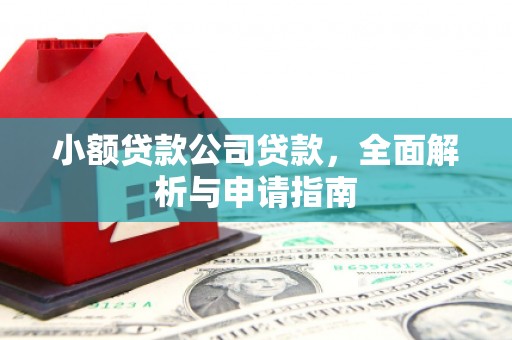 溆浦小额贷款公司贷款，全面解析与申请指南