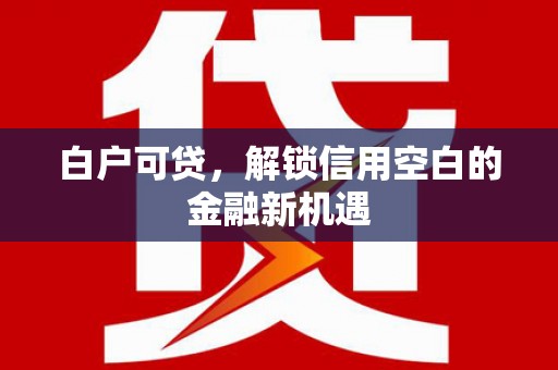 溆浦白户可贷，解锁信用空白的金融新机遇