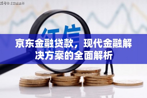 溆浦京东金融贷款，现代金融解决方案的全面解析